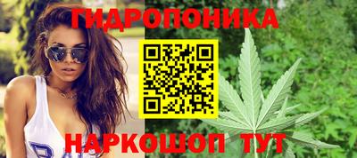 стаф Славгород