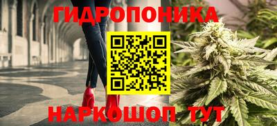 метадон Сланцы