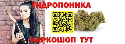 стаф Славгород