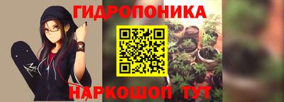 стаф Славгород