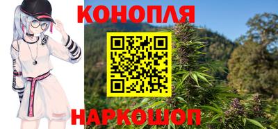 стаф Славгород